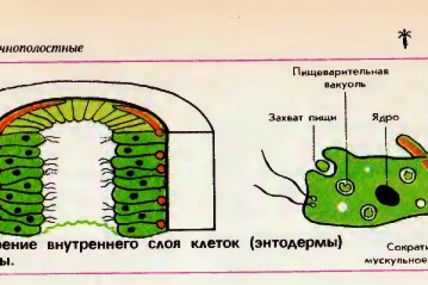 Телеграм канал омг омг